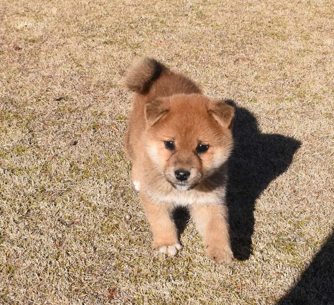 ブログ画像