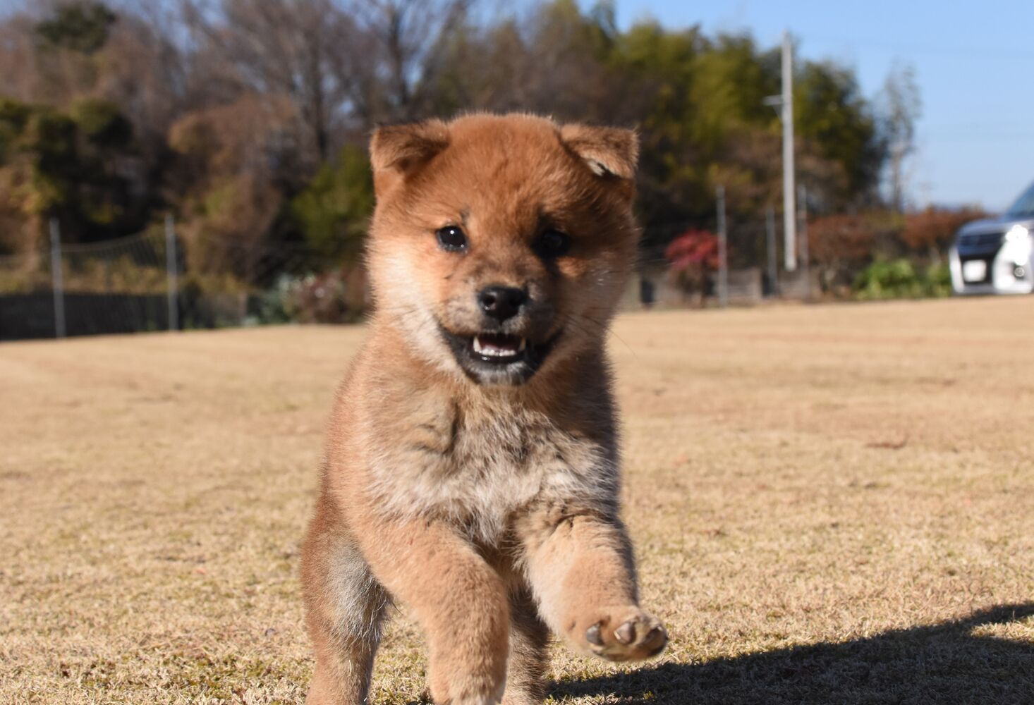 ブログ画像