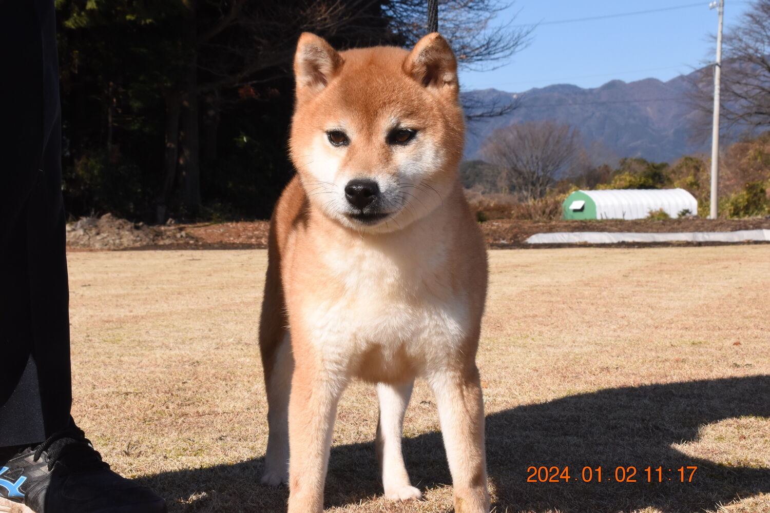 ブログ画像