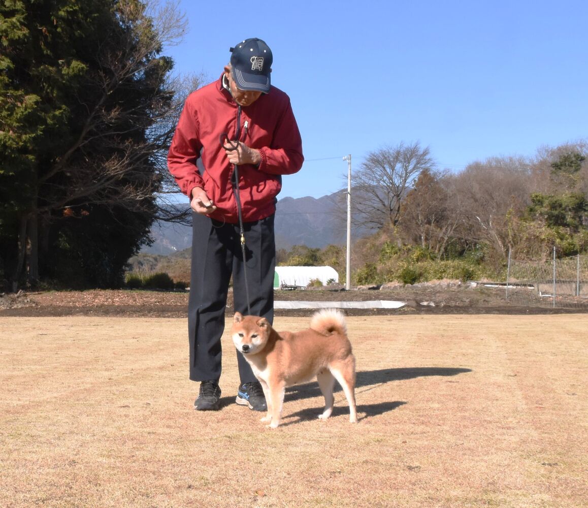 ブログ画像