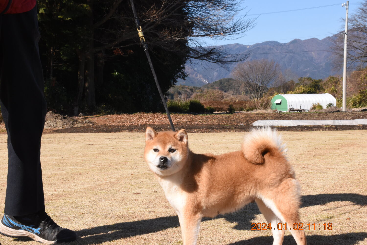 ブログ画像